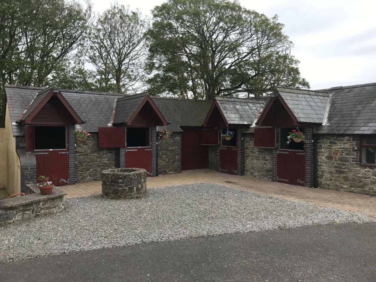 مبيت وإفطار آبيريستويث Llangwyryfon Country Breaks المظهر الخارجي الصورة
