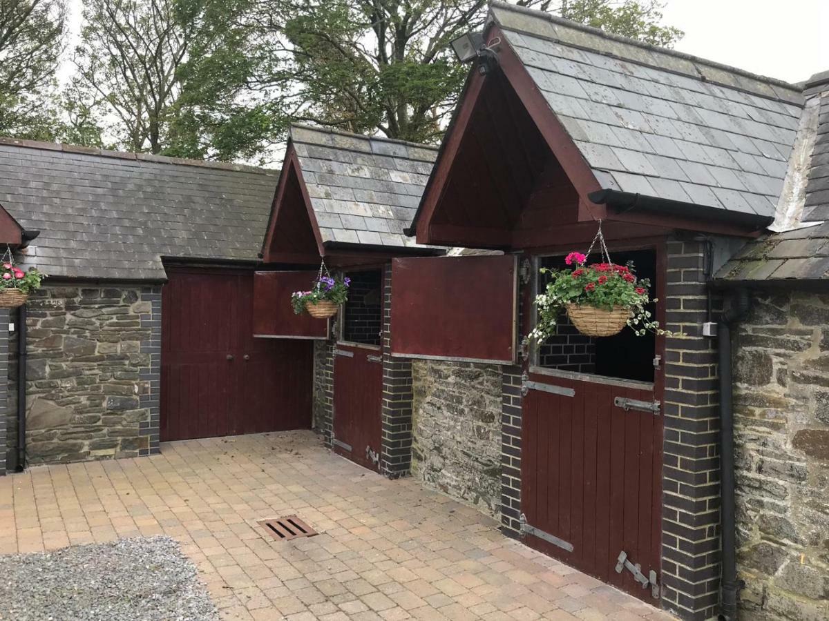 مبيت وإفطار آبيريستويث Llangwyryfon Country Breaks المظهر الخارجي الصورة